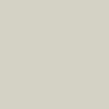 Warm Light Gray